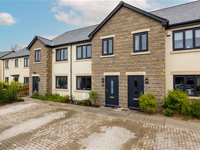 Picture 23